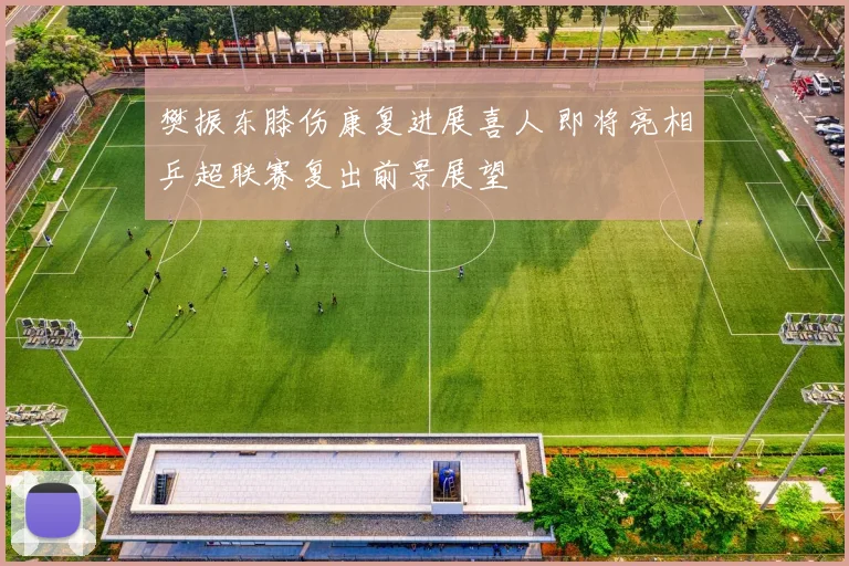 樊振东膝伤康复进展喜人 即将亮相乒超联赛复出前景展望