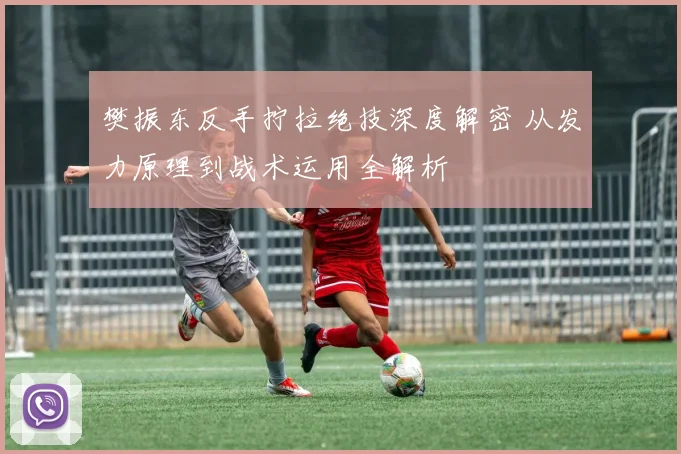 樊振东反手拧拉绝技深度解密 从发力原理到战术运用全解析
